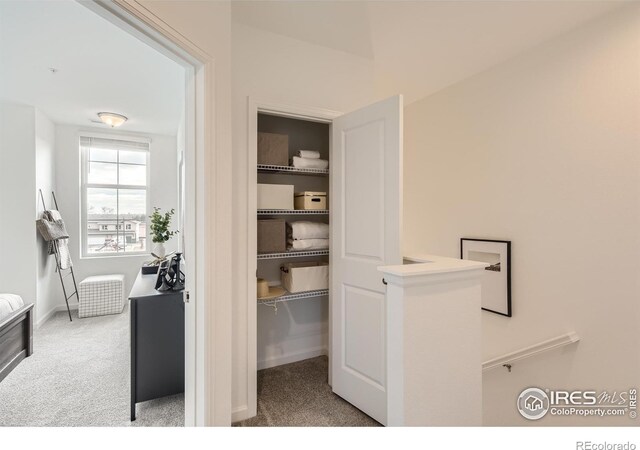 919 Schlagel St Unit 5, Fort Collins, CO 80524 - photo 14
