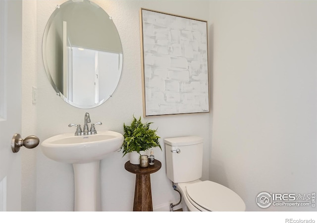 919 Schlagel St Unit 5, Fort Collins, CO 80524 - photo 5
