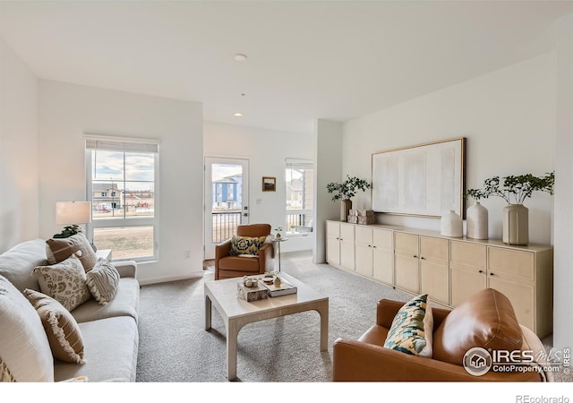 919 Schlagel St Unit 5, Fort Collins, CO 80524 - photo 18