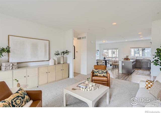 919 Schlagel St Unit 5, Fort Collins, CO 80524 - photo 20