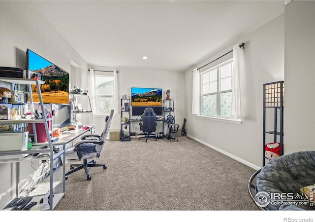 437 Buckskin Rd, Berthoud, CO 80513 - carpeted office space with baseboards and recessed lighting