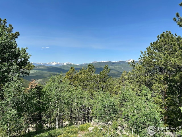 1730 Coyote Cir, Black Hawk, CO 80422 - photo 5