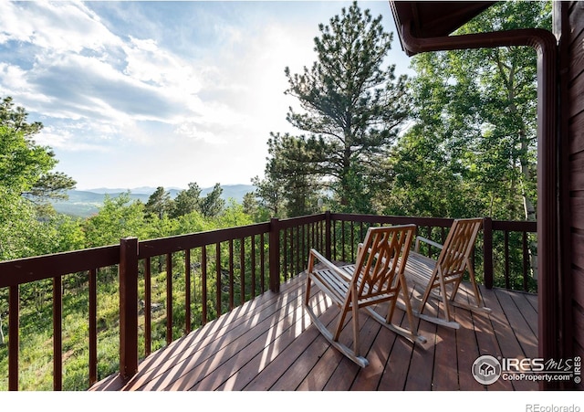 1730 Coyote Cir, Black Hawk, CO 80422 - photo 10