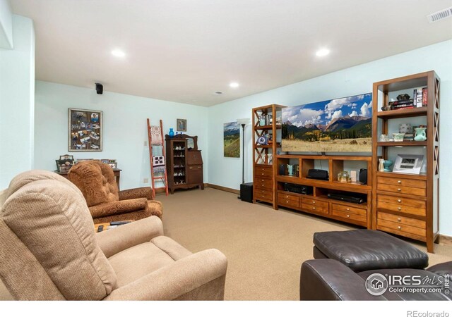 317 Kirkland Ln, Johnstown, CO 80534 - photo 29