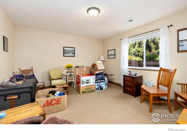 317 Kirkland Ln, Johnstown, CO 80534 - photo 32