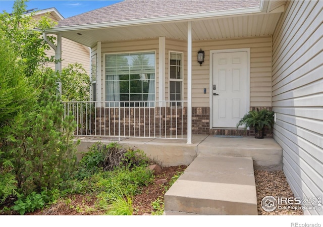 410 Norwood Ct, Windsor, CO 80550 - photo 2