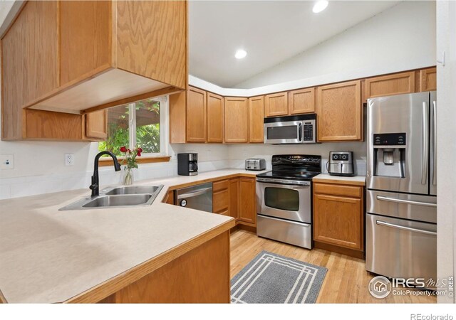 410 Norwood Ct, Windsor, CO 80550 - photo 7