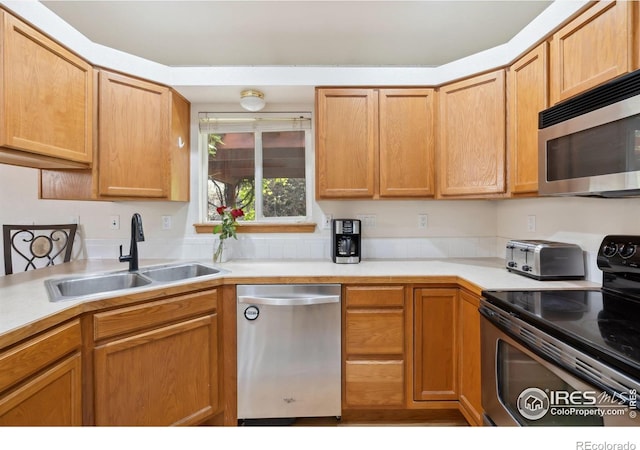 410 Norwood Ct, Windsor, CO 80550 - photo 9
