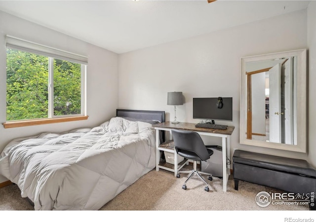 410 Norwood Ct, Windsor, CO 80550 - photo 12
