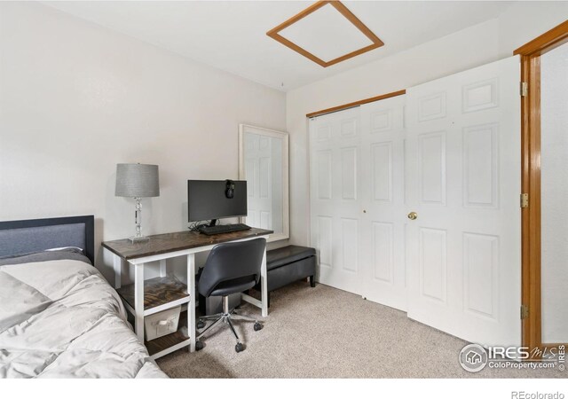 410 Norwood Ct, Windsor, CO 80550 - photo 13