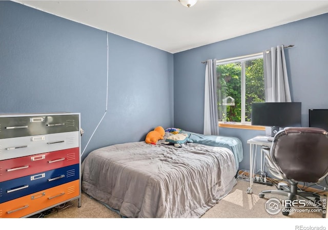 410 Norwood Ct, Windsor, CO 80550 - photo 14