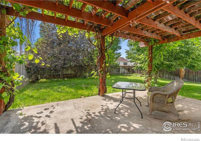 410 Norwood Ct, Windsor, CO 80550 - photo 17
