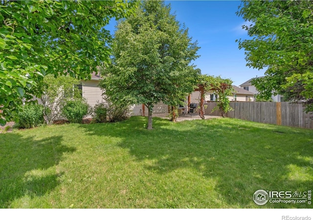410 Norwood Ct, Windsor, CO 80550 - photo 19