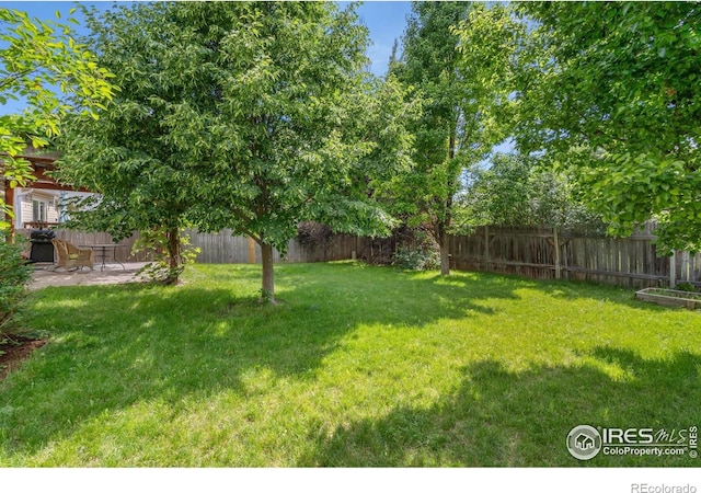410 Norwood Ct, Windsor, CO 80550 - photo 20