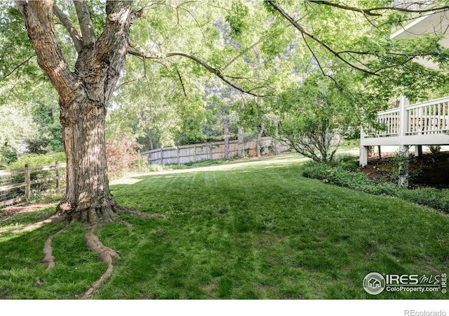 3421 4th St, Boulder, CO 80304 - view of yard