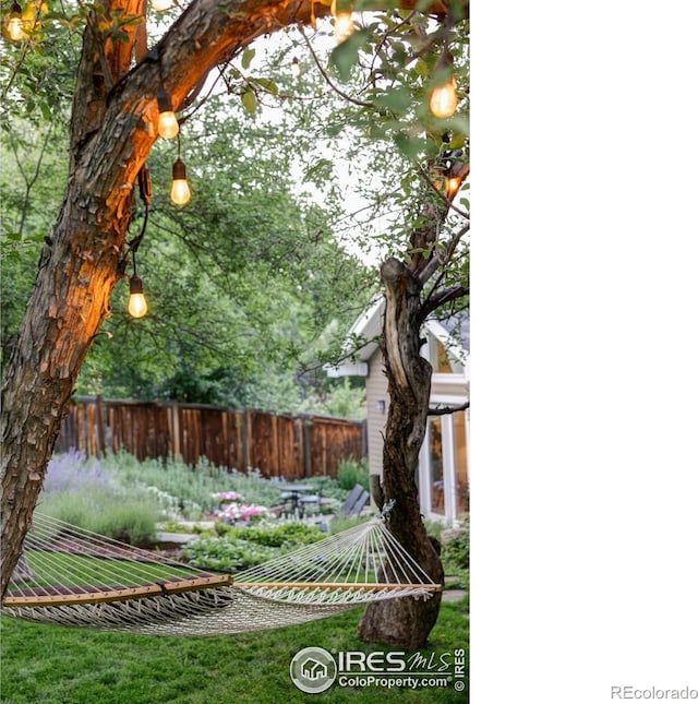 3421 4th St, Boulder, CO 80304 - view of yard