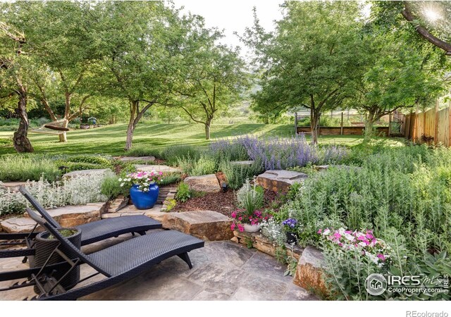 3421 4th St, Boulder, CO 80304 - view of patio