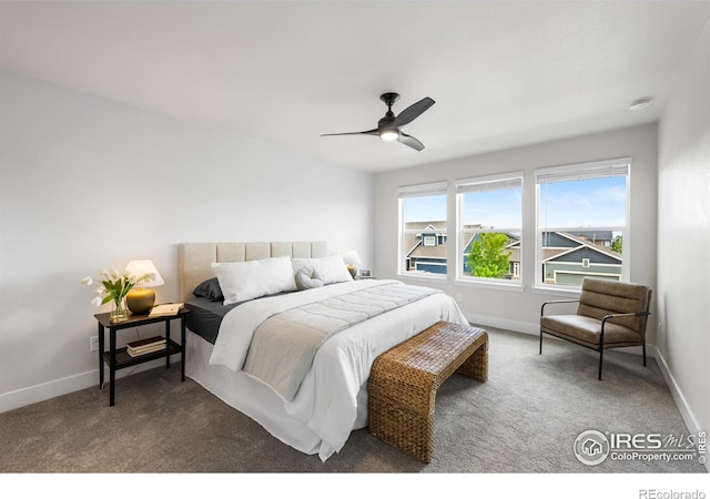 648 Greenspire Dr Unit 6, Windsor, CO 80550 - bedroom with carpet floors and a ceiling fan