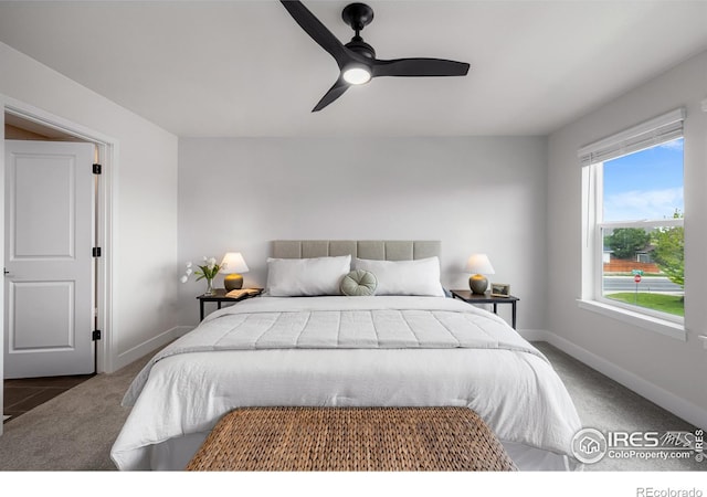 648 Greenspire Dr Unit 6, Windsor, CO 80550 - bedroom featuring carpet and ceiling fan