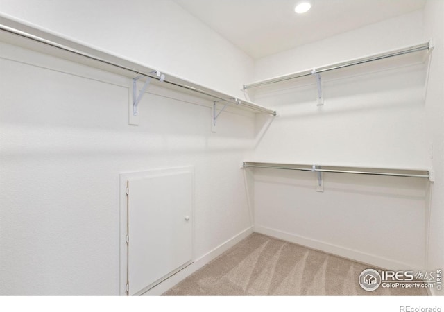 5226 Inland Ave, Firestone, CO 80504 - walk in closet with light colored carpet