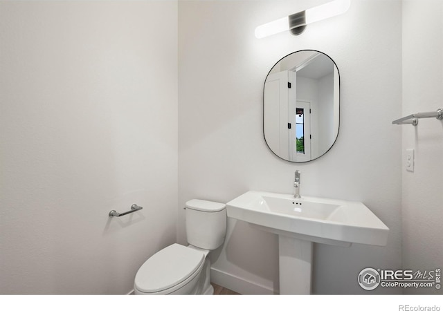 783 Canoe Birch Dr, Windsor, CO 80550 - photo 22