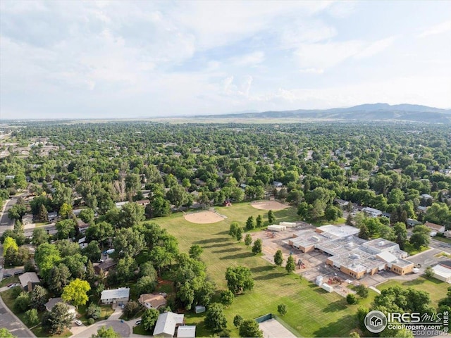 3200 Eagle Dr, Fort Collins, CO 80526 - photo 33
