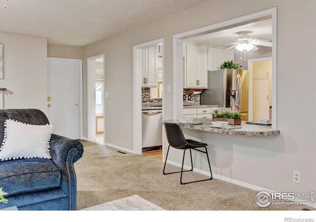 1514 Collyer St, Longmont, CO 80501 - photo 16