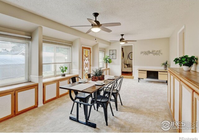 1514 Collyer St, Longmont, CO 80501 - photo 21