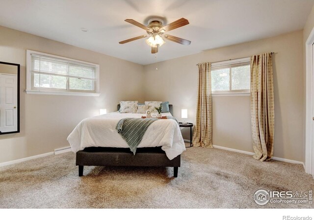 1514 Collyer St, Longmont, CO 80501 - photo 26