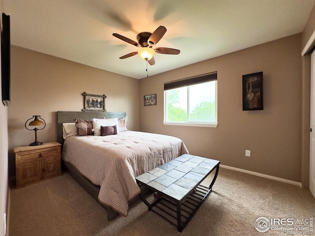 307 Sycamore Ave, Johnstown, CO 80534 - photo 17