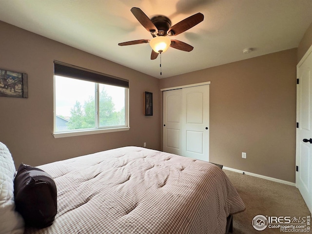 307 Sycamore Ave, Johnstown, CO 80534 - photo 18