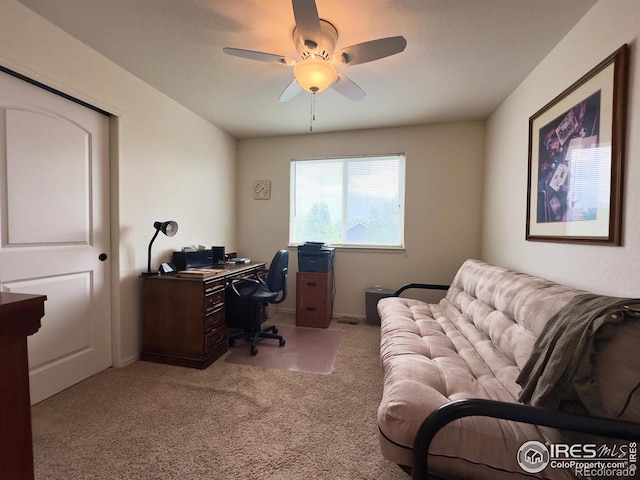 307 Sycamore Ave, Johnstown, CO 80534 - photo 20