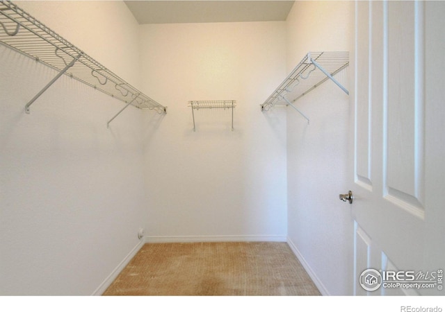 2421 Santa Fe Dr Unit B, Longmont, CO 80504 - walk in closet with light colored carpet