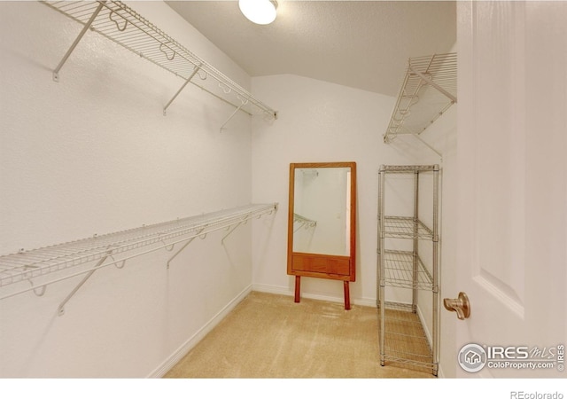 2421 Santa Fe Dr Unit B, Longmont, CO 80504 - spacious closet featuring light carpet