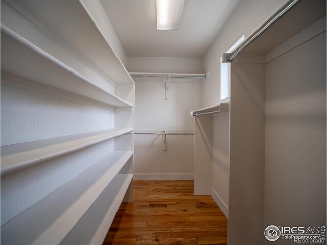 2946 Shoshone Trl, Lafayette, CO 80026 - walk in closet with wood finished floors