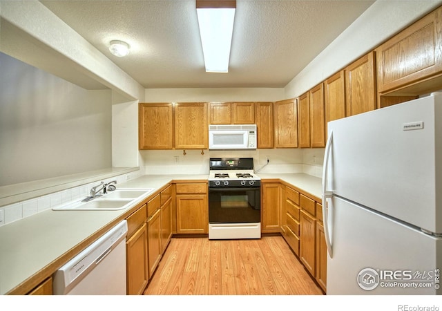 1816 Cheyenne Ave, Loveland, CO 80538 - photo 4