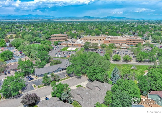 1816 Cheyenne Ave, Loveland, CO 80538 - photo 26