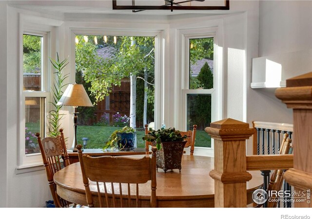 1524 Buttonwood Dr, Fort Collins, CO 80525 - photo 15