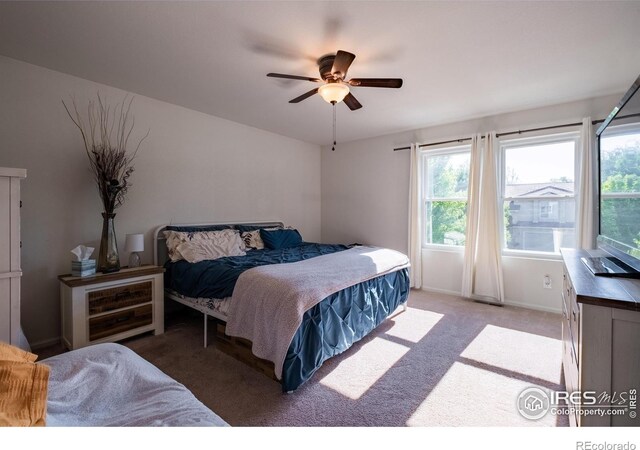 3919 Hunterwood Ln, Johnstown, CO 80534 - photo 25