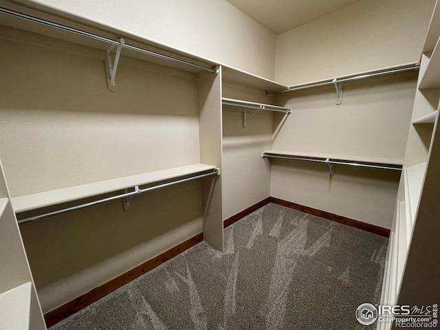 20199 Leola Way, Eaton, CO 80615 - walk in closet featuring dark carpet