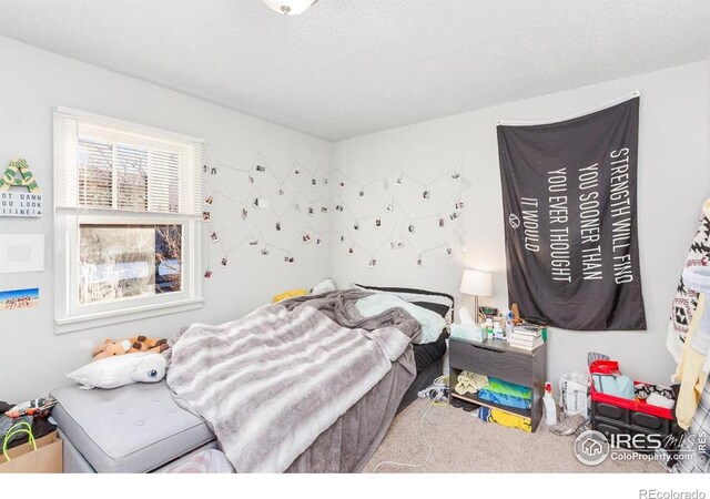 810 W Laurel St, Fort Collins, CO 80521 - photo 18