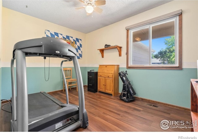 3907 Conifer Dr, Loveland, CO 80538 - photo 21