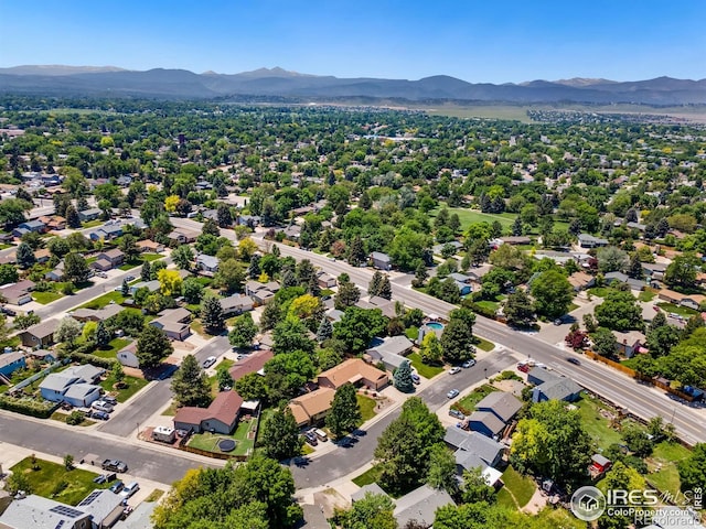 3907 Conifer Dr, Loveland, CO 80538 - photo 27