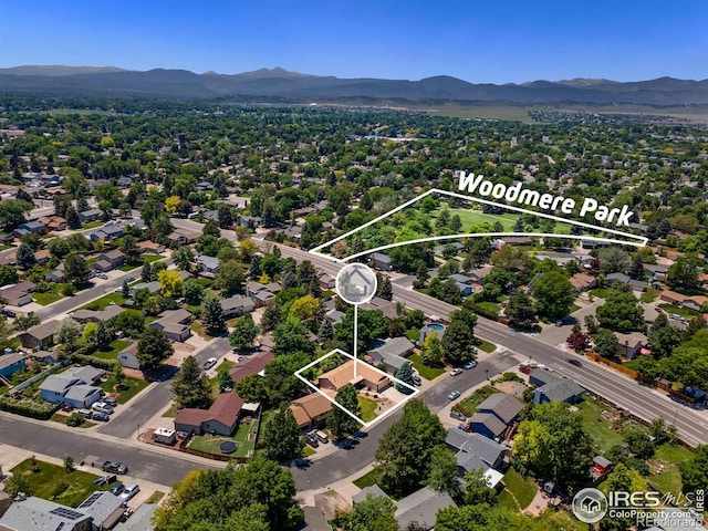 3907 Conifer Dr, Loveland, CO 80538 - photo 28