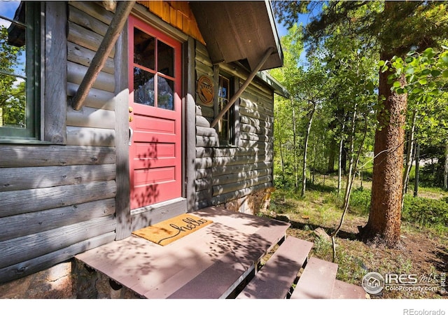 11614 Peak To Peak Hwy, Allenspark, CO 80510 - doorway to property