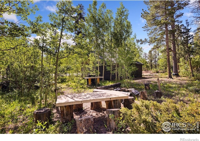 11614 Peak To Peak Hwy, Allenspark, CO 80510 - back of property