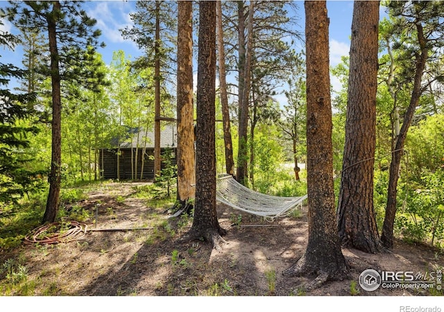 11614 Peak To Peak Hwy, Allenspark, CO 80510 - view of yard