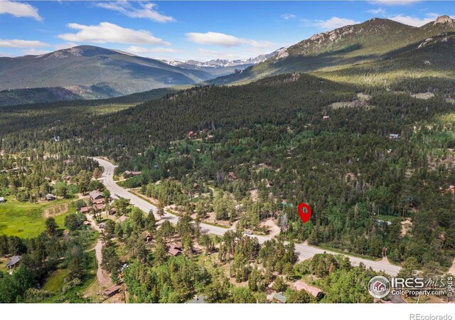 11614 Peak To Peak Hwy, Allenspark, CO 80510 - mountain view featuring a heavily wooded area