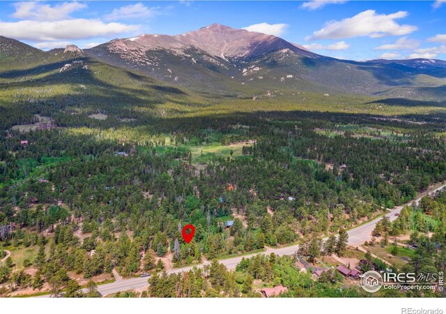 11614 Peak To Peak Hwy, Allenspark, CO 80510 - view of mountain backdrop with a forest