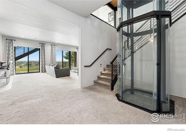 2147 Picture Pointe Dr, Windsor, CO 80550 - photo 26
